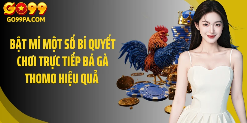 Bật mí một số bí quyết chơi trực tiếp đá gà Thomo hiệu quả