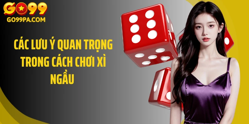 Các lưu ý quan trọng trong cách chơi xì ngầu 