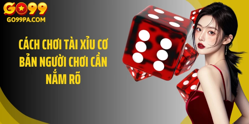 Cách chơi tài xỉu cơ bản người chơi cần nắm rõ