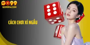 Hướng Dẫn Cách Chơi Xí Ngầu Go99 Dành Cho Người Mới