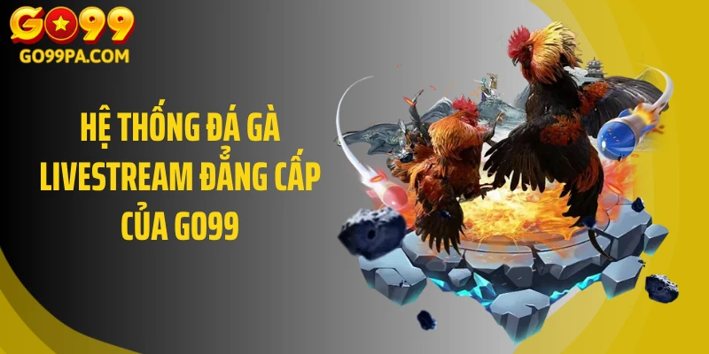 Hệ thống đá gà livestream đẳng cấp của GO99