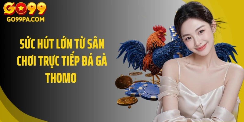 Sức hút lớn từ sân chơi trực tiếp đá gà thomo